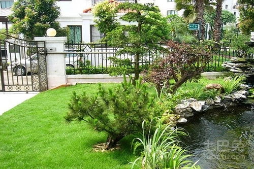 庭院绿化风水的植物有哪些 庭院绿化风水禁忌