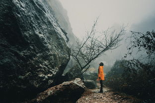 凄风冷月，孤独凄美的诗意世界，凄风冷雨的意思是什么