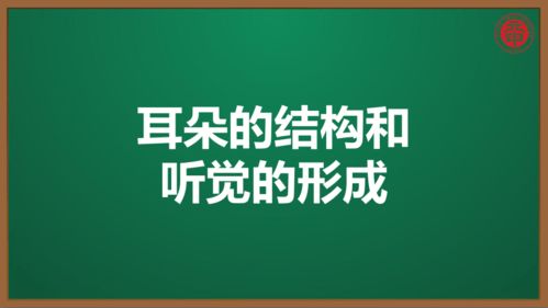 初中生物复习知识点精讲课件 42 耳朵的结构和听觉的形成 