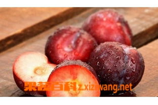 李子图片,李子的功效作用和食用方法,李子的营养价值 果蔬百科全说z.xiziwang.net 1 