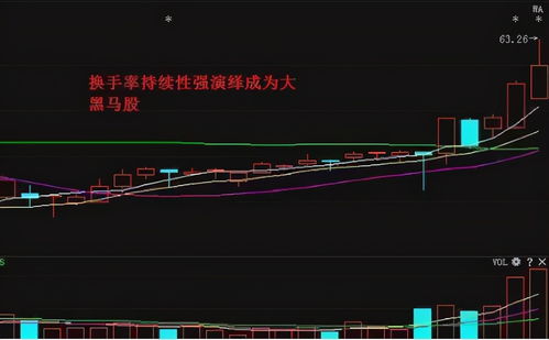 为什么有人开直播间教散户买股票