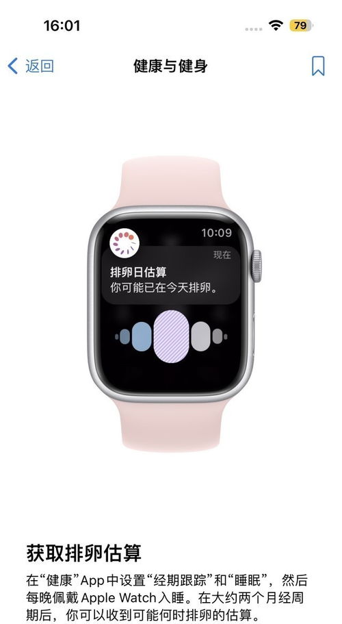 Apple Watch S8人文设计 这应该是未来所有智能手表的发展方向