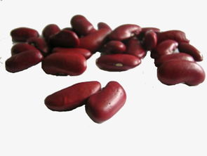 红豆象征着什么意义代表什么爱情寓意
