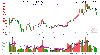 罗韶宇的东银控股最近有什么新发展动向？