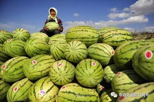 石头缝里的西瓜 宁夏中卫硒砂瓜 