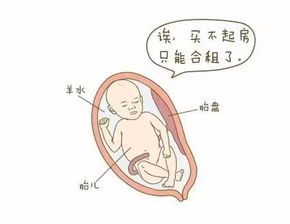 原创小宝贝在孕肚里1-10个月成长发育，或许比较“神奇”，一起见证吧