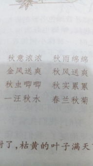 关于四季的诗句和四字词语