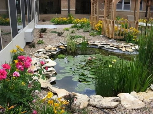 花园只有造个锦鲤鱼池,才能堪称最美庭院