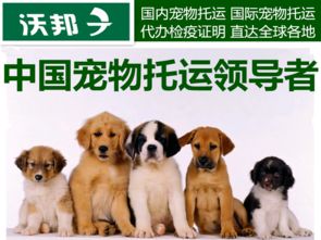 图 上海宠物托运电话宠物出国价格宠物回国流程 上海宠物服务 
