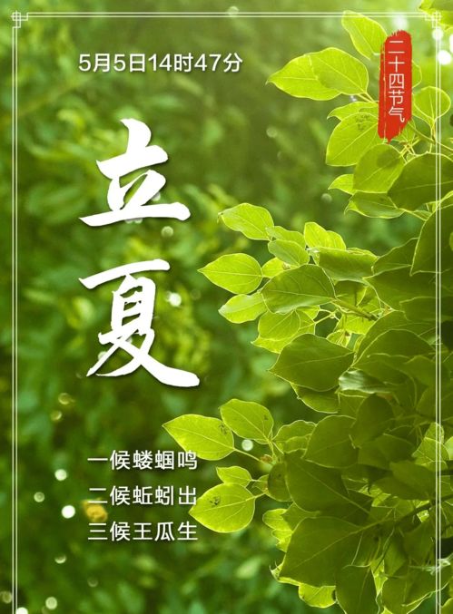 立夏三候是什么意思