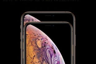 iPhone Xs Xs Max再陷 信号门 问题 大量网友已开始不满