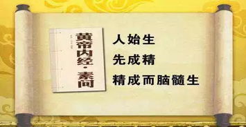 人的脑细胞死一个少一个,做到这点记忆力才会强 