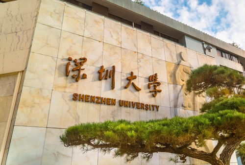 深圳大学有临床医学自考吗,深圳大学自考本科有哪些专业