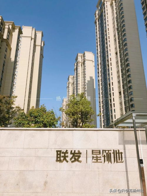 扬州寄语市长：共筑城市美好未来，新期待下的城市发展蓝图