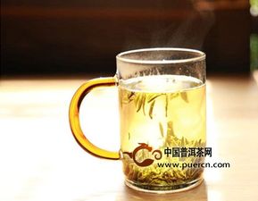 直接用普通玻璃茶杯冲泡普洱茶可以吗