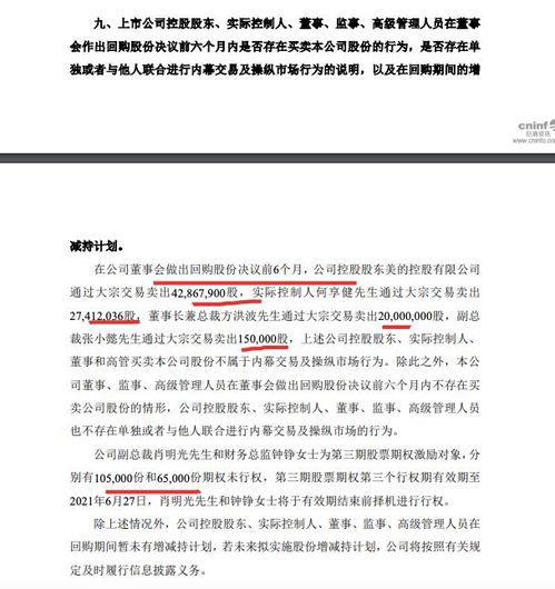 只由一个公司控股的公司股东决议怎么写