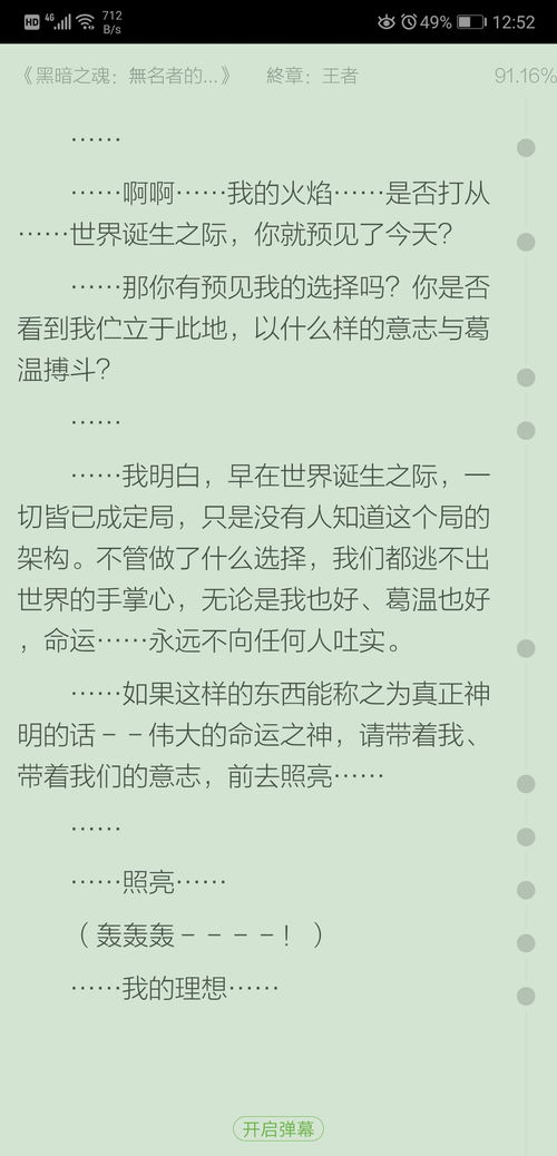 推荐一本同人小说,名字叫 黑暗之魂 无名者的故事