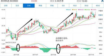 交易员和操盘手该怎么选择