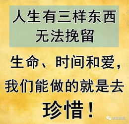 我的相册 二 