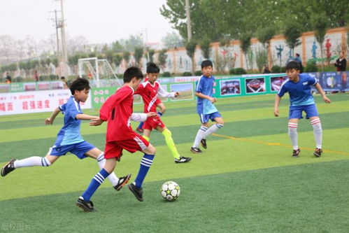 中国青少年足球联赛直播平台