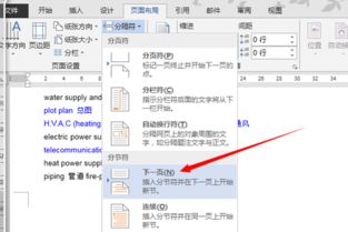 wps2013中分隔符在哪 如何从某一页起开始编写页码 