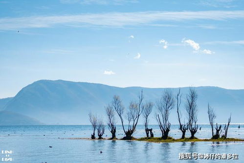 大理洱海怎么玩 洱海精华拍照景点汇总且都还是免费的