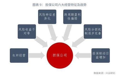 “对单个被担保人债券发行提供的担保责任余额不得超过净资产的30%。”该如何理解这句话？