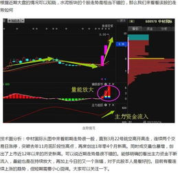 厦门港务（000905）今天11.75追高买入，明后天走势如何？本周怎么操作？