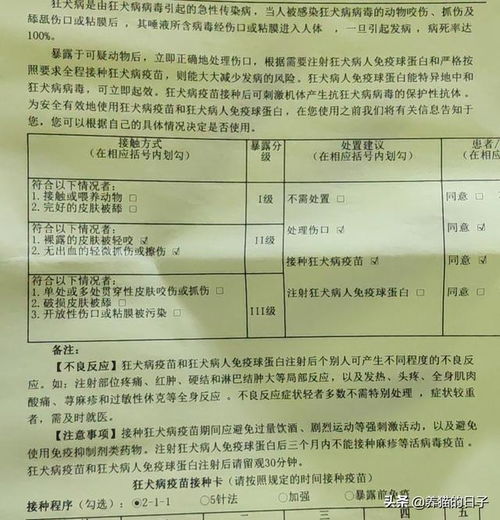 被猫抓伤出血要打针吗 被猫抓出血了要打针吗,什么情况下要打狂犬疫苗 