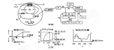 为什么光照条件由强到弱 CO2供应不变时 C3增加C5减少？