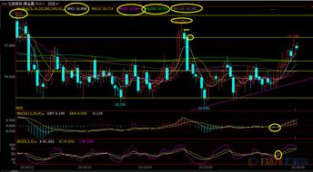 如何运用指标看盘 现货外汇黄金白银原油技