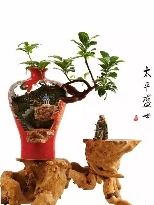 盆栽绿植废弃物属于什么垃圾 盆栽绿植废弃物所属垃圾