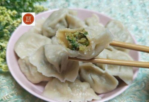 夏天吃这个馅儿的饺子太舒服了,又好又便宜,全家人都爱吃