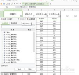 wps 表格怎么筛选数据，wps表格怎么筛选数据合并