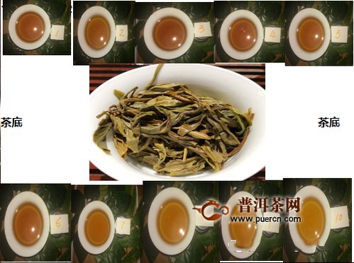 老乌山古树茶是什么茶  第2张