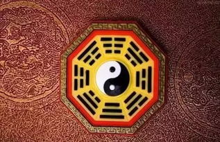 中国文化最神奇的八个汉字,乾 坤 震 巽 坎 离 艮 兑