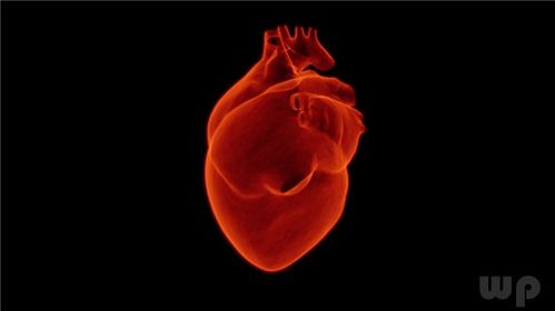 什么症状应该怀疑是心脏病 14种水果护心