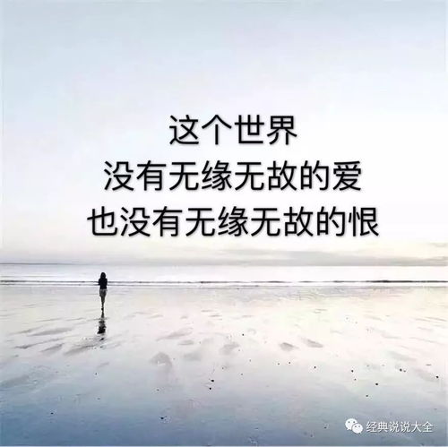 适合发说说的经典心情语录句子,总有一句触动你 