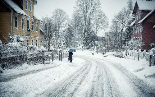 今年大雪是哪天(今年大雪是哪一天)