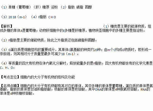 有机物在生物体内氧化分解耗氧量以及放出能量的多少与什么有关？