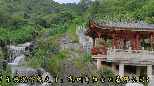 深圳最著名十大公园 (深圳最著名的公园)