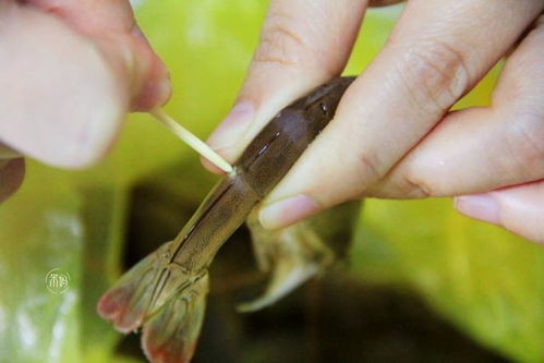 讲解如何快速挑虾线,剥虾壳