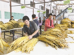 国家是否有强制性规定种植烤烟，每村必须完成20亩，否则撤销所有村干部职务？为什么湖南永州宁远县会有这样的规定了？