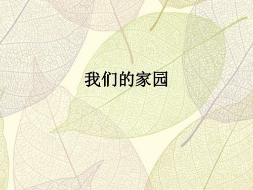 综合学习三 课件 