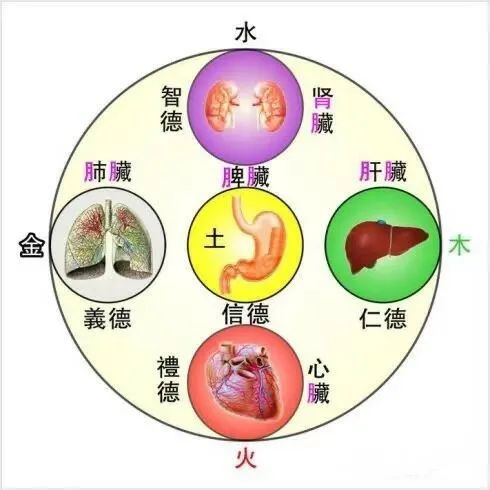 性格决定命运 决定性格的又是什么呢 上