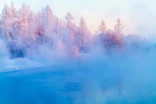 节气 今日大雪 愿我心中暖,驱走你冬寒