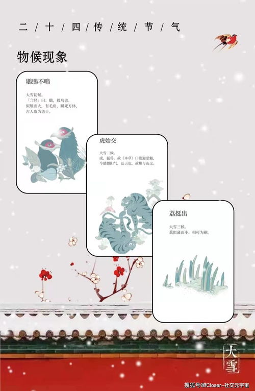 二十四节气,大雪 纷纷在年关,定是丰收年