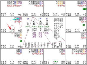 新技能 紫微测出TA是否在乎你