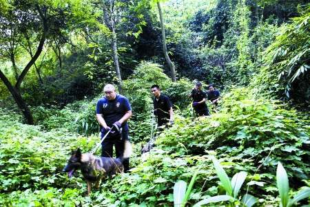 重庆头号悍匪反侦察能力有多强 持枪横行8年,逃过警方万人围剿