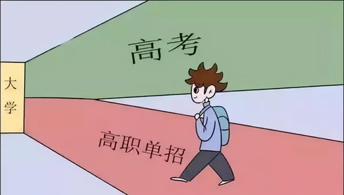 高三走单招,过来人表示后悔了,并不是人人适合走单招